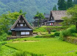 包含里程碑夜丹佛掘金门线救险，欧超杯关键时刻刷纪录，话题不断，纪律约束更严格的词条